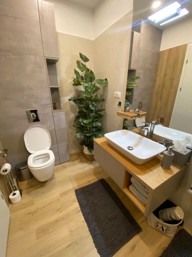 Aparthotel Art'Penthouse Braşov Esterno foto